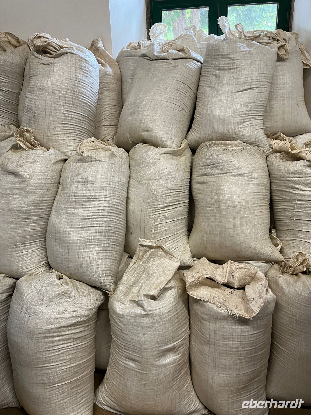 Teefabrik Gorreana, São Miguel, Azoren, Portugal