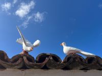 Keramikfabrik Lagoa, São Miguel, Azoren, Portugal