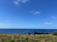 Stadtpromenade von Lagoa, São Miguel, Azoren, Portugal