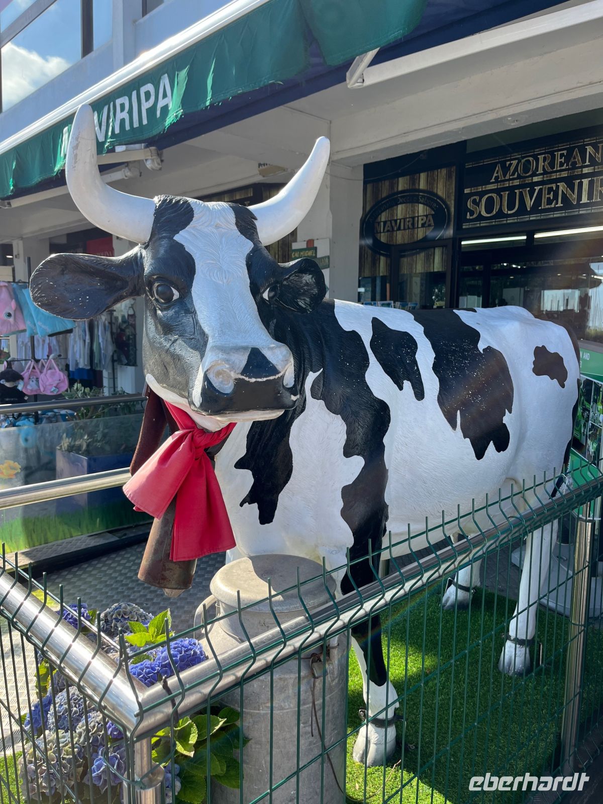 Kuhstatue, Ponta Delgada, São Miguel, Azoren, Portugal