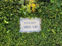 Ananas-Plantage, Ponta Delgada, São Miguel, Azoren, Portugal