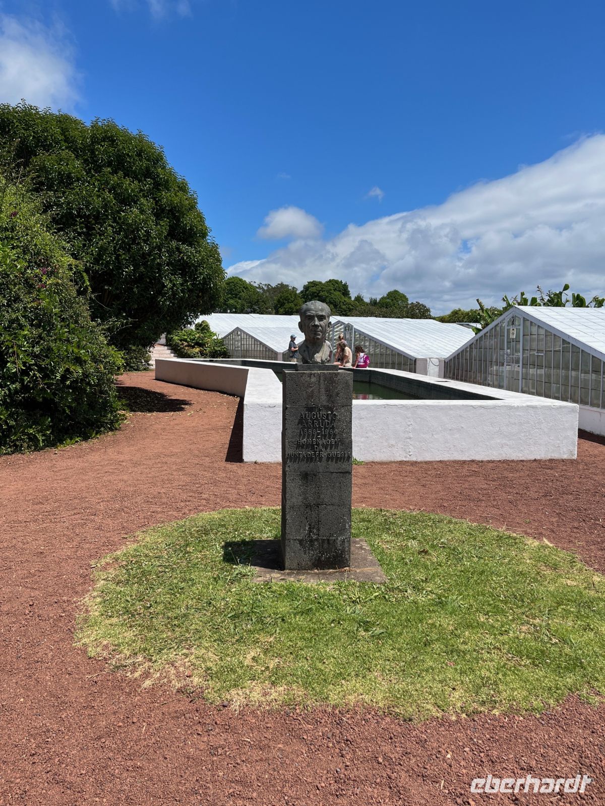 Ananas-Plantage, Ponta Delgada, São Miguel, Azoren, Portugal