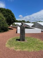 Ananas-Plantage, Ponta Delgada, São Miguel, Azoren, Portugal