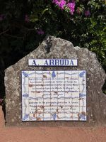 Ananas-Plantage, Ponta Delgada, São Miguel, Azoren, Portugal