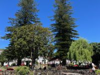 Park, Horta, Faial, Azoren, Portugal