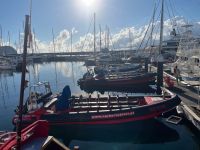 Boot, Walbeobachtung, Horta, Faial, Azoren, Portugal