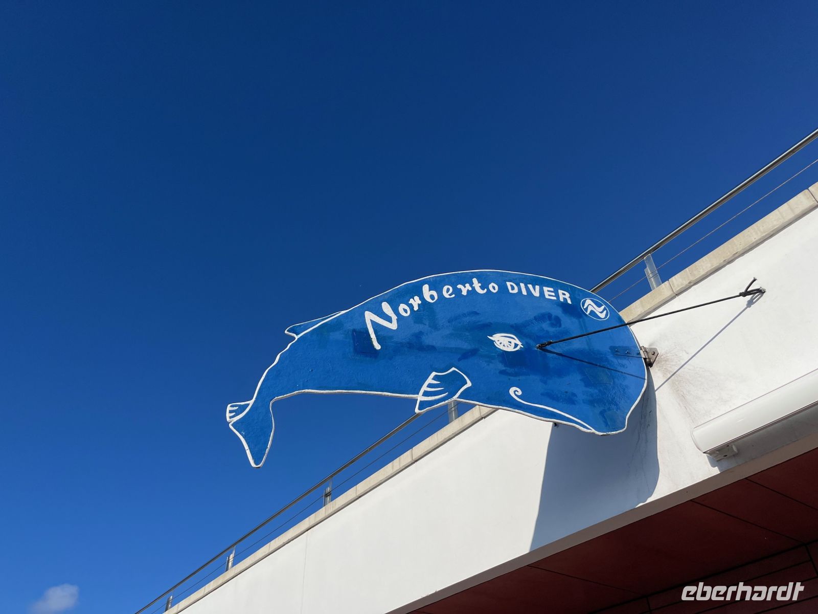 Walbeobachtung, Horta, Faial, Azoren, Portugal