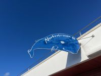 Walbeobachtung, Horta, Faial, Azoren, Portugal