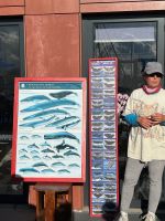 Einweisung Walbeobachtung, Horta, Faial, Azoren, Portugal