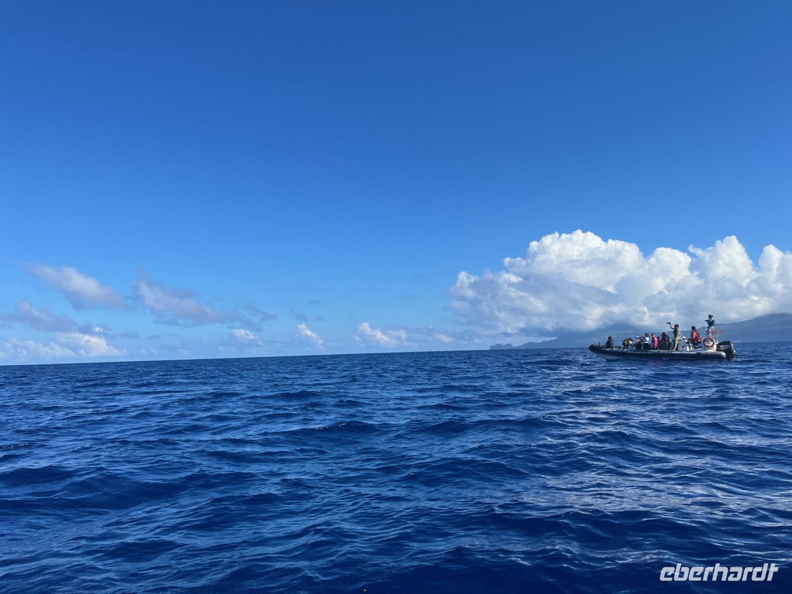 Boot, Walbeobachtung, Horta, Faial, Azoren, Portugal
