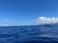 Boot, Walbeobachtung, Horta, Faial, Azoren, Portugal