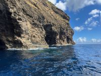 Walbeobachtung, Horta, Faial, Azoren, Portugal