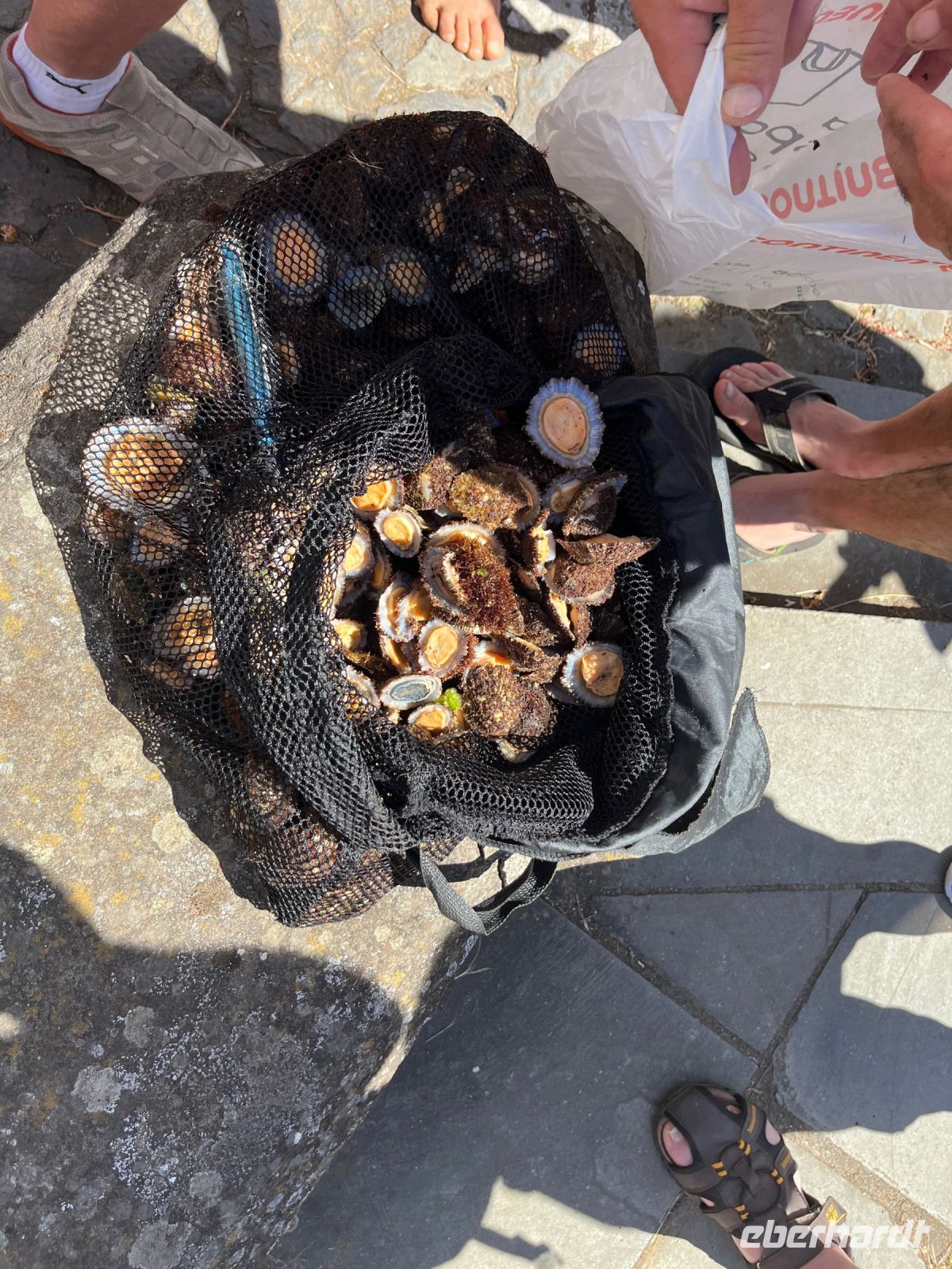 Verkauf auf der Straße, Sao Sebastiao, Teceira, Azoren, Portugal