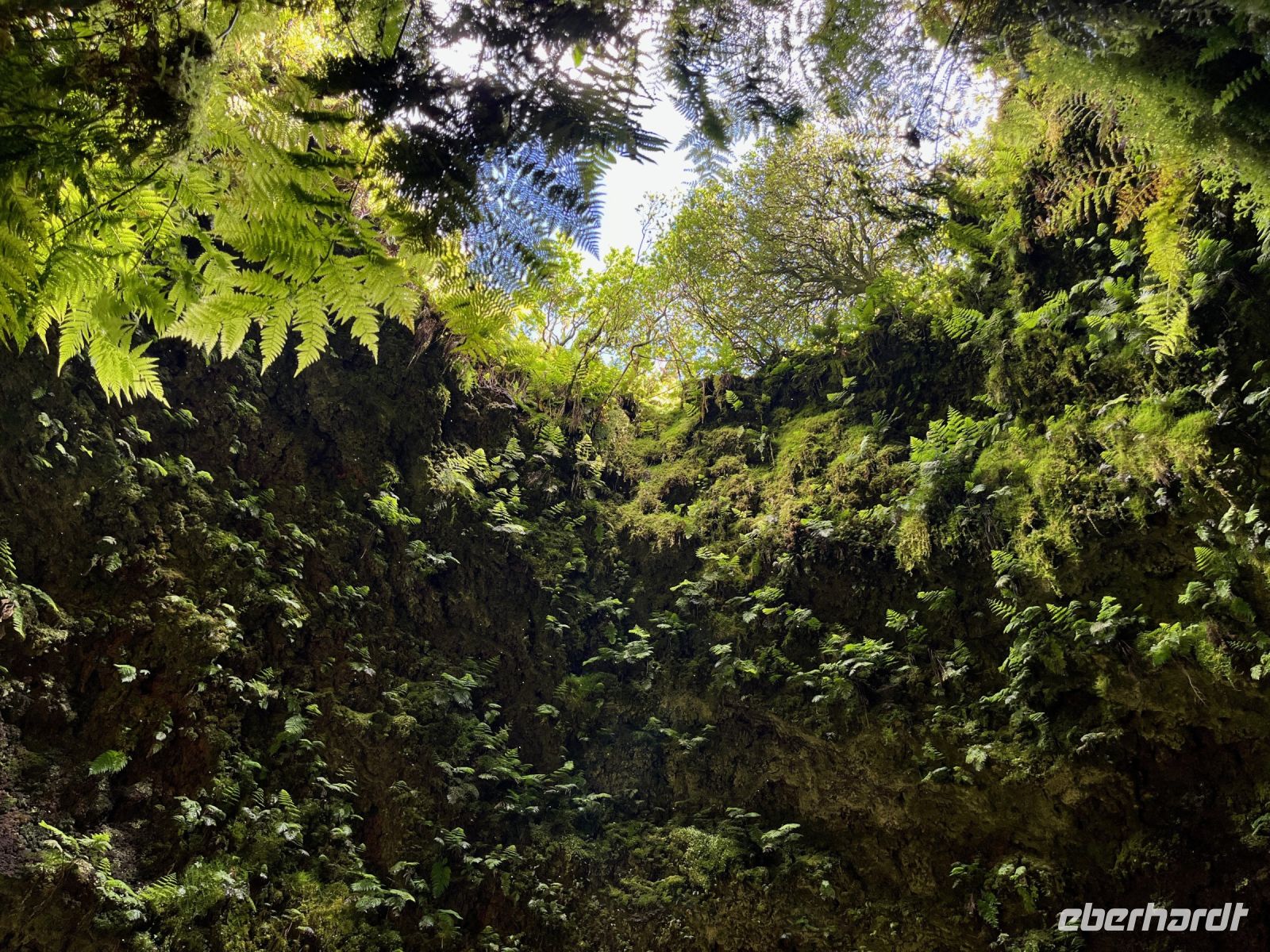 Algar do Cavao, Teceira, Azoren, Portugal