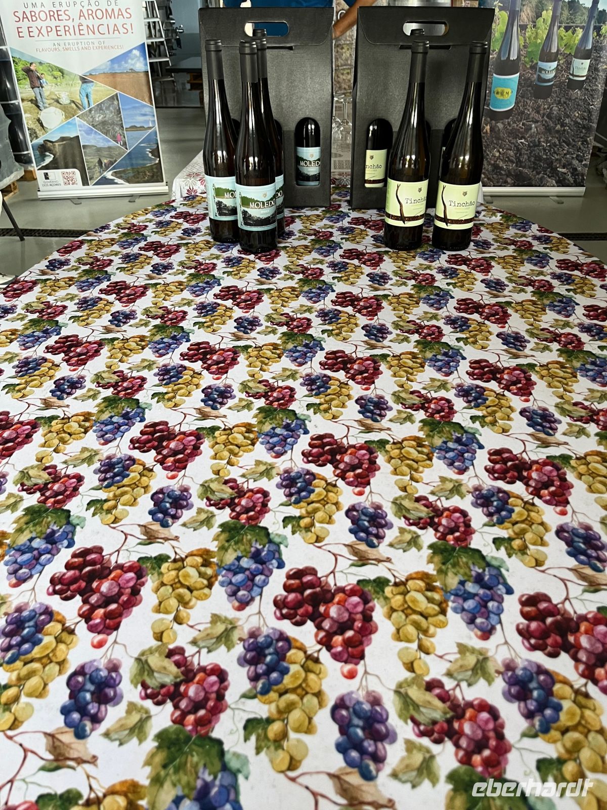 Weinverkostung, Teceira, Azoren, Portugal