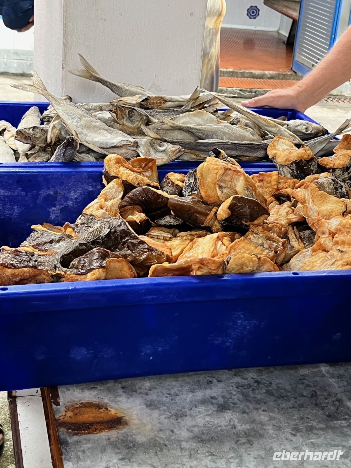 Fischmarkt, Angra do Heroísmo, Teceira, Azoren, Portugal