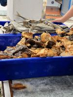 Fischmarkt, Angra do Heroísmo, Teceira, Azoren, Portugal