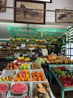 Markt, Angra do Heroísmo, Teceira, Azoren, Portugal