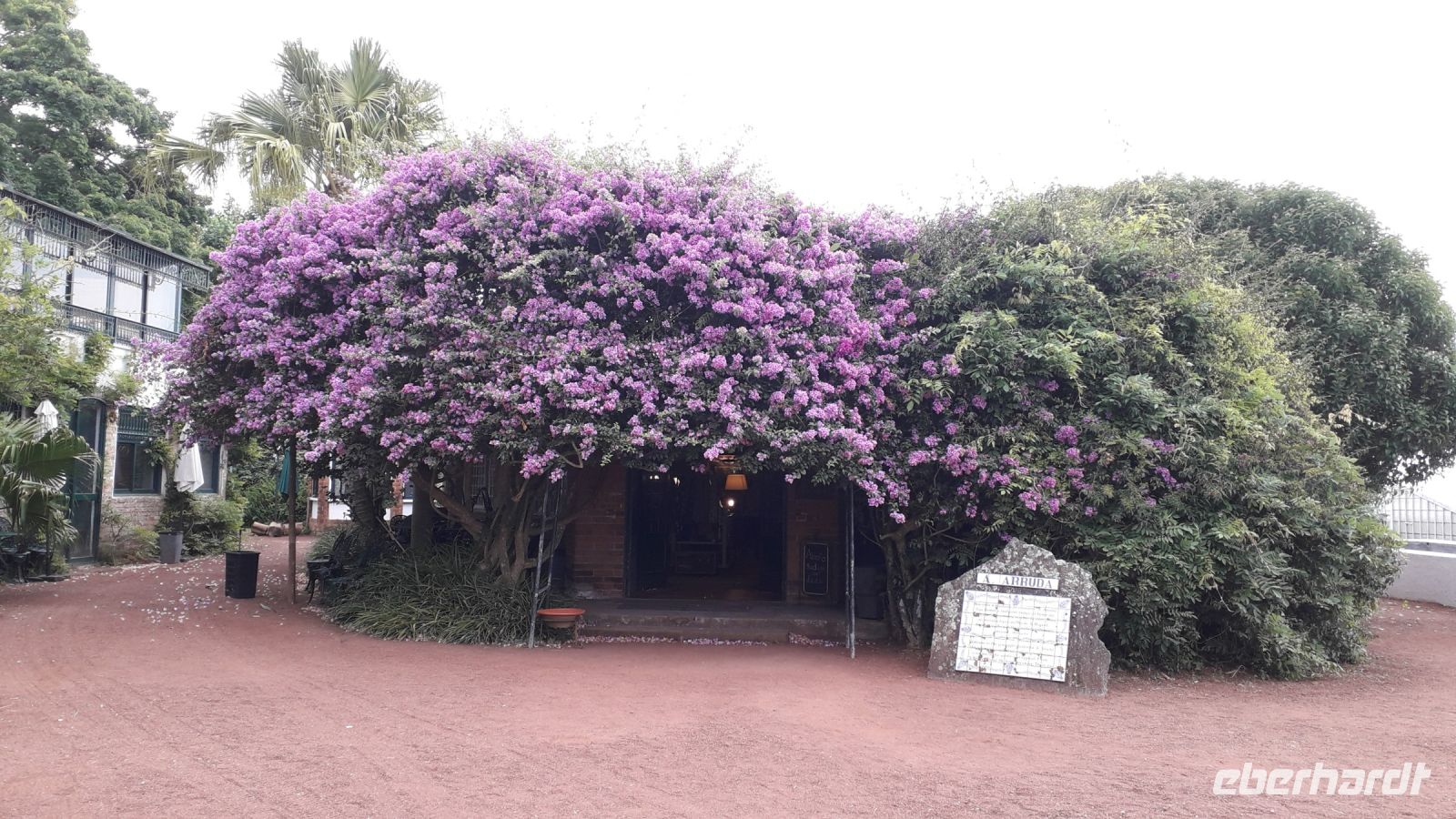 Der Laden (Ananasplantage)