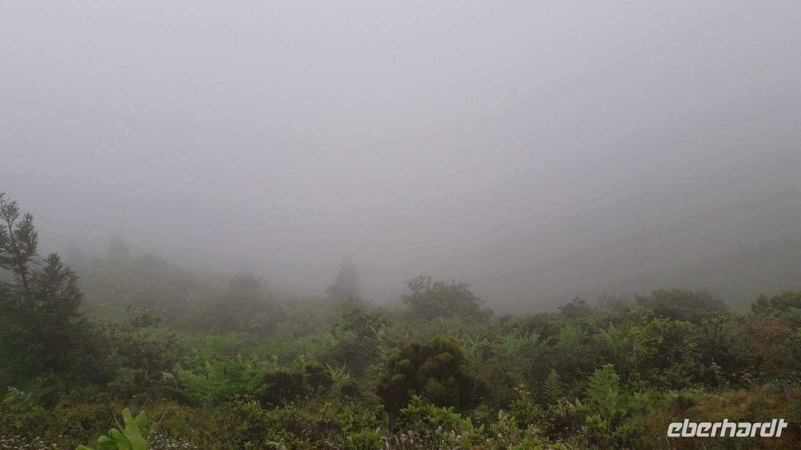 dichter Nebel oben am Feuersee