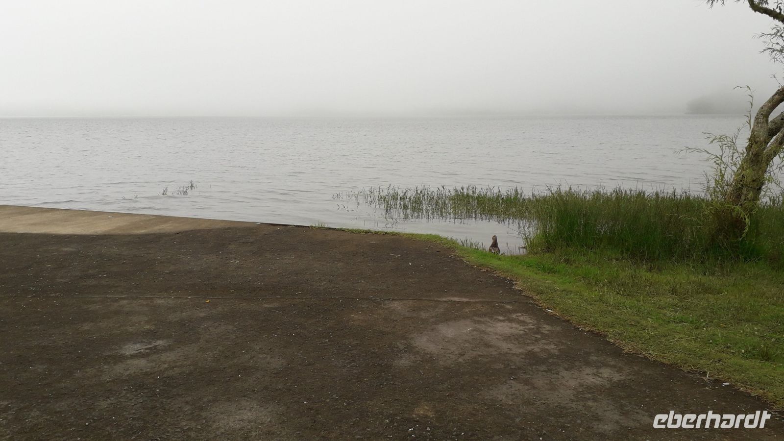 Dichter Nebel in Sete Cidades
