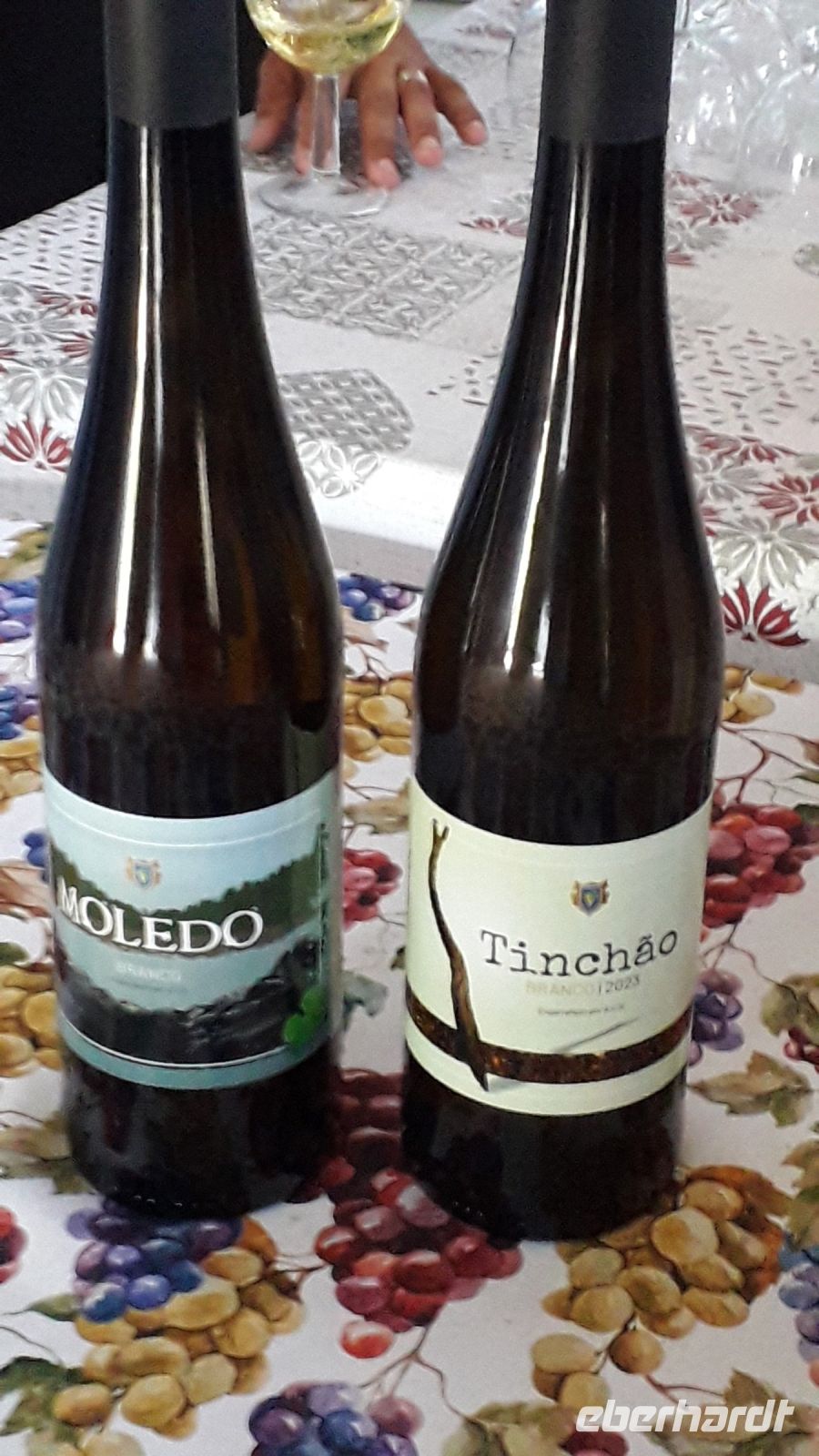 Weinprobe auf Terceira