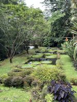 Pflanzen im Park Terra Nostra