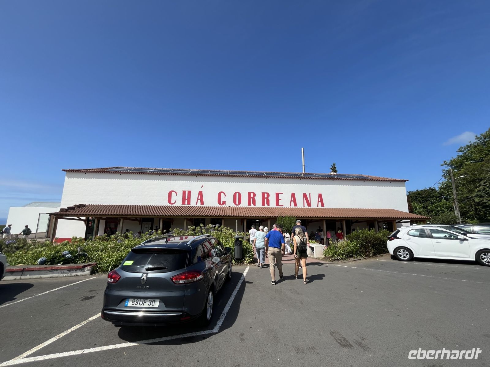 Eingang zur Teeplantage