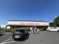 Eingang zur Teeplantage