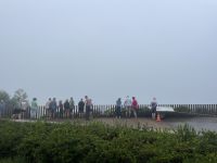 noch ist der Ausblick vernebelt