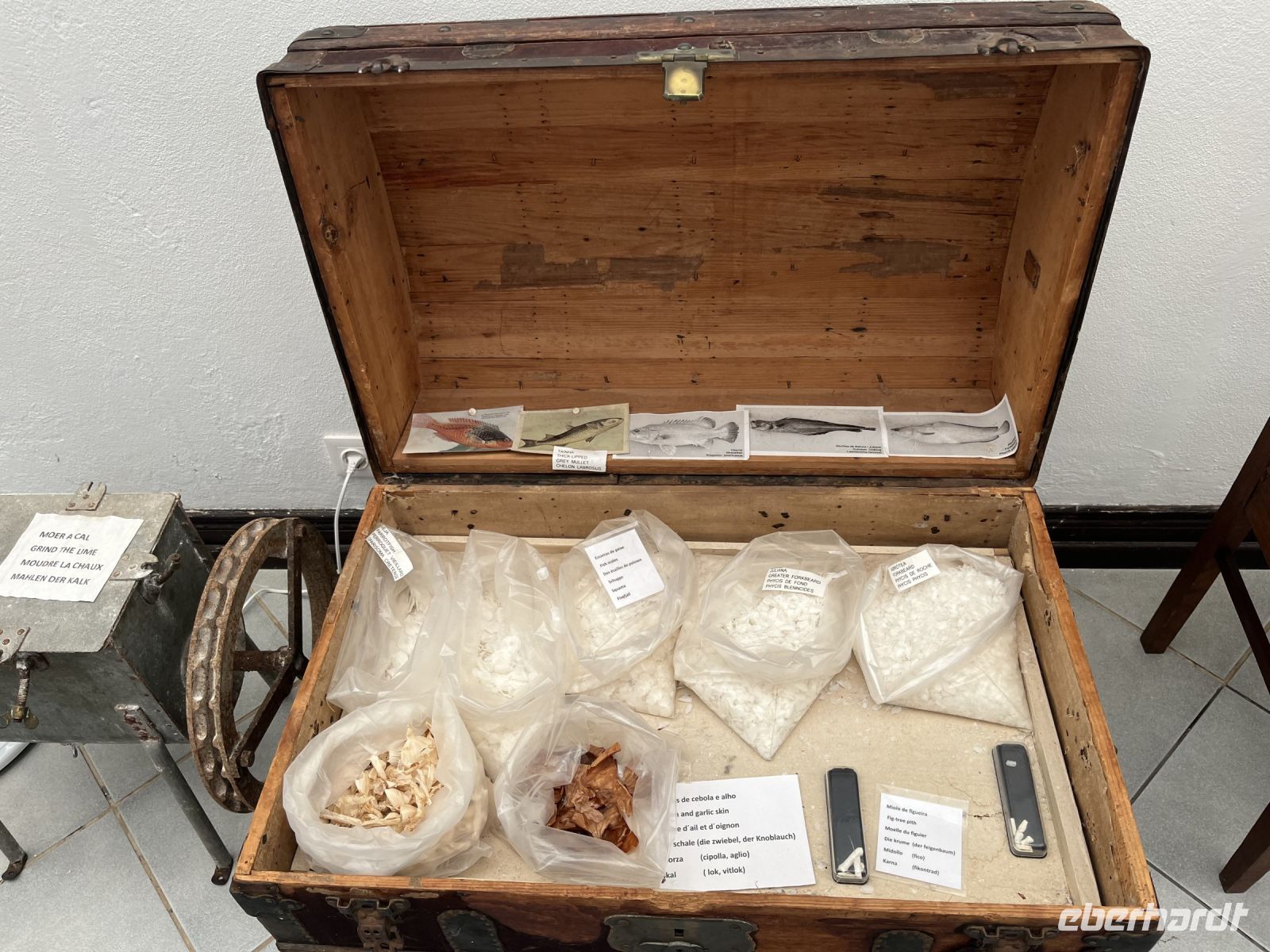 Kunst aus Fischschuppen und Zwiebelschalen