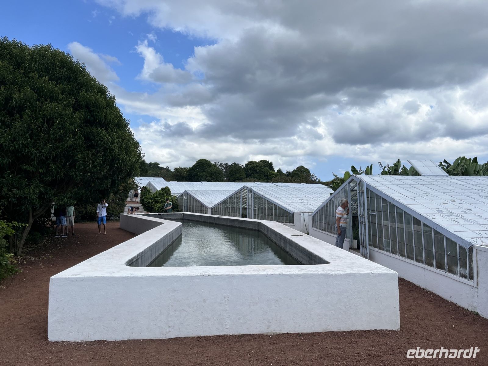 Regenbecken auf der Ananas Plantage