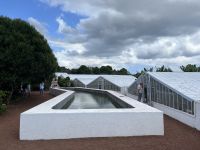 Regenbecken auf der Ananas Plantage