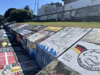 Bilder der Segler am Hafen von Horta