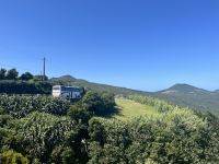 Inselrundfahrt auf Faial