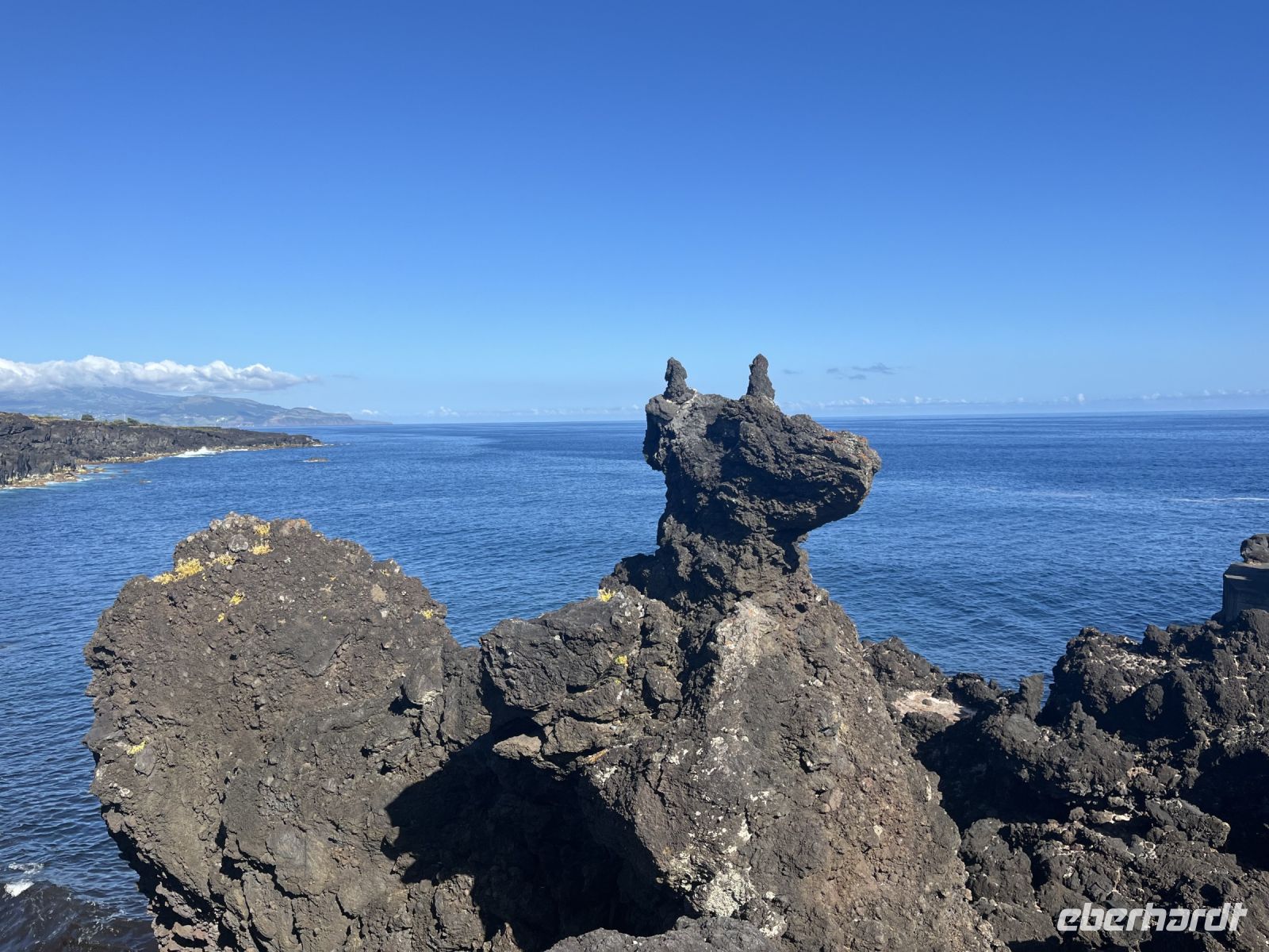 der namensgebende Hundekopf