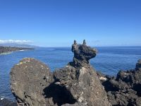 der namensgebende Hundekopf