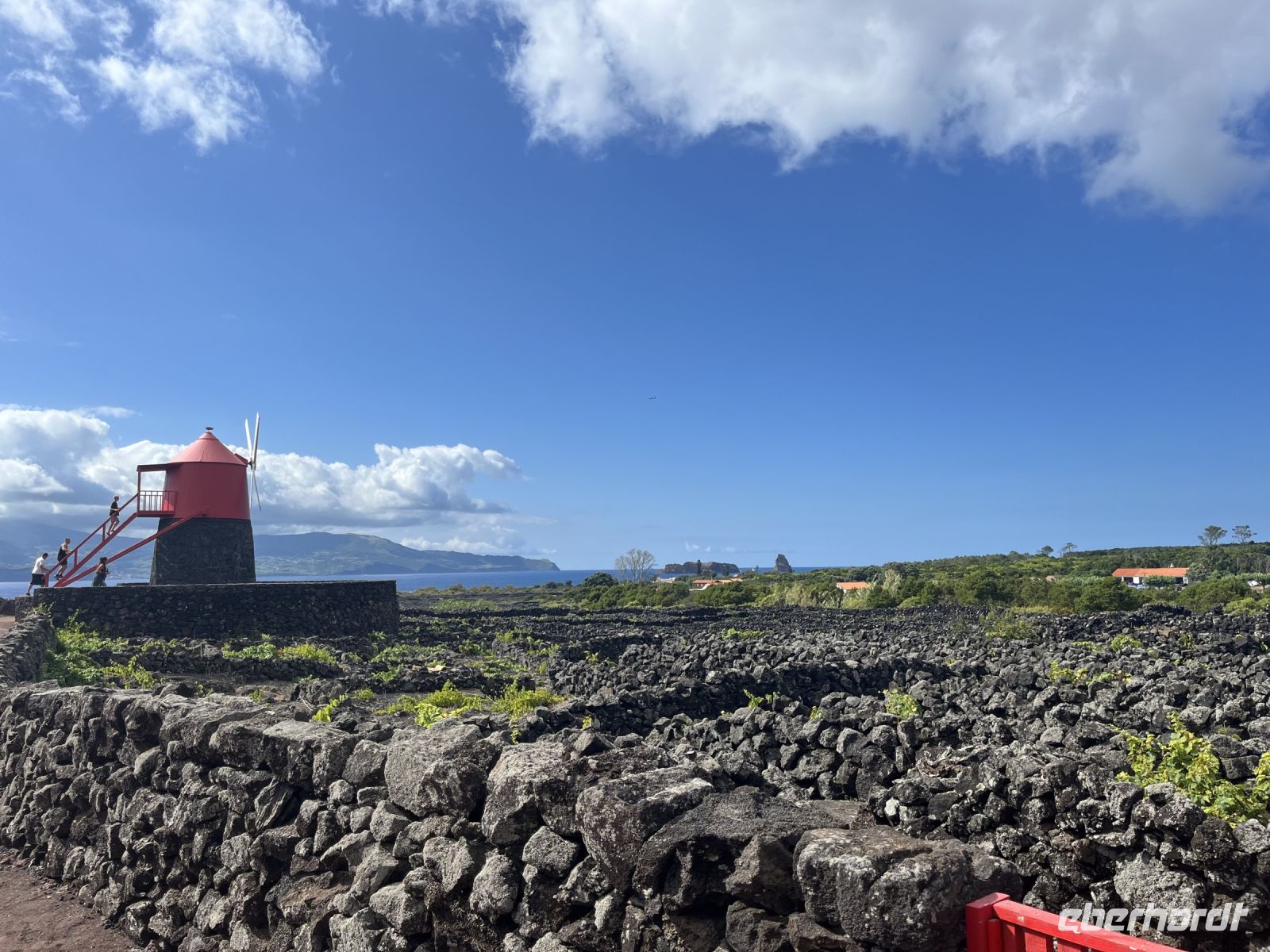 Weinanbau bei Madalena