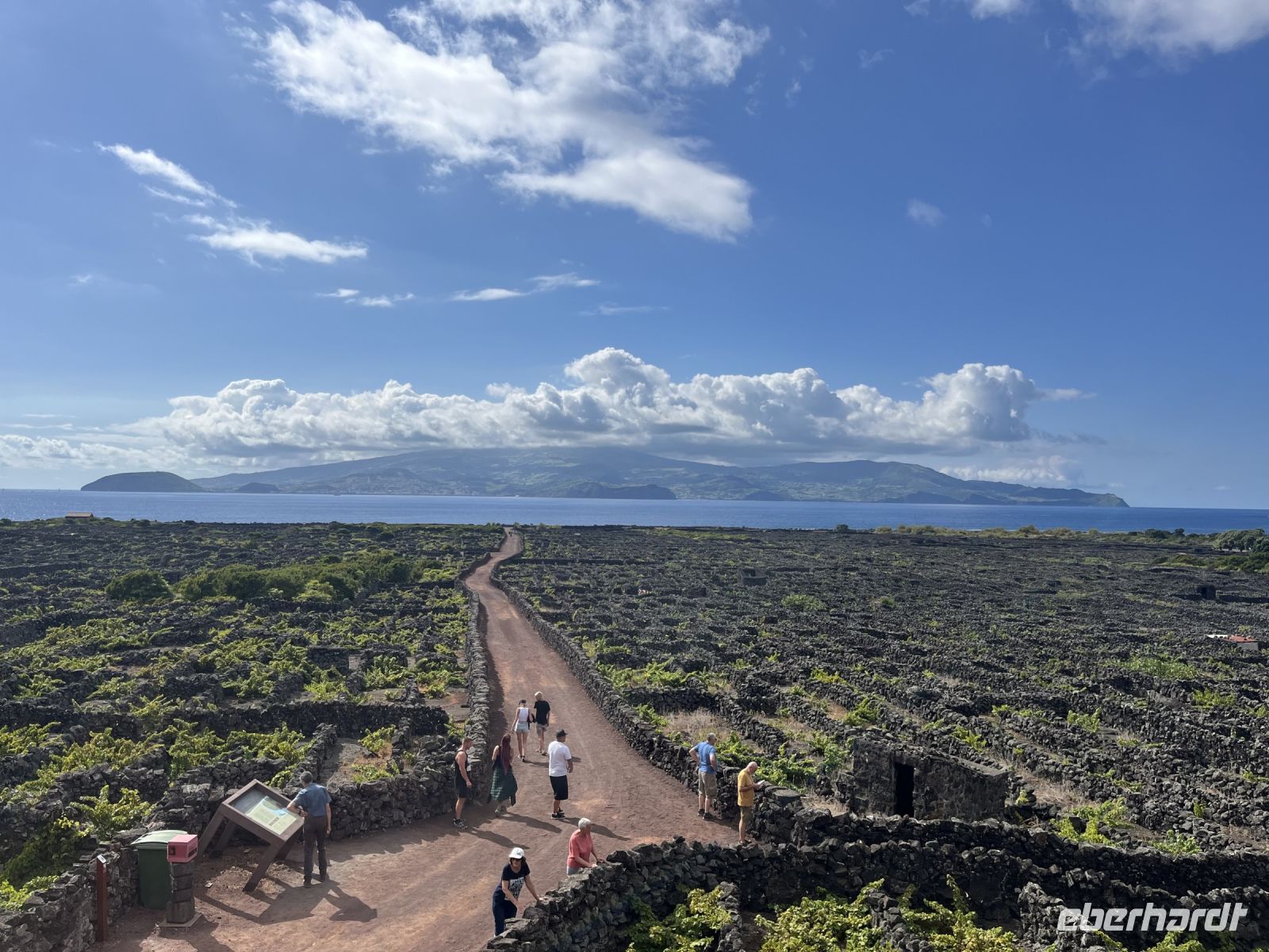 Blick auf die Insel Faial