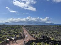 Blick auf die Insel Faial