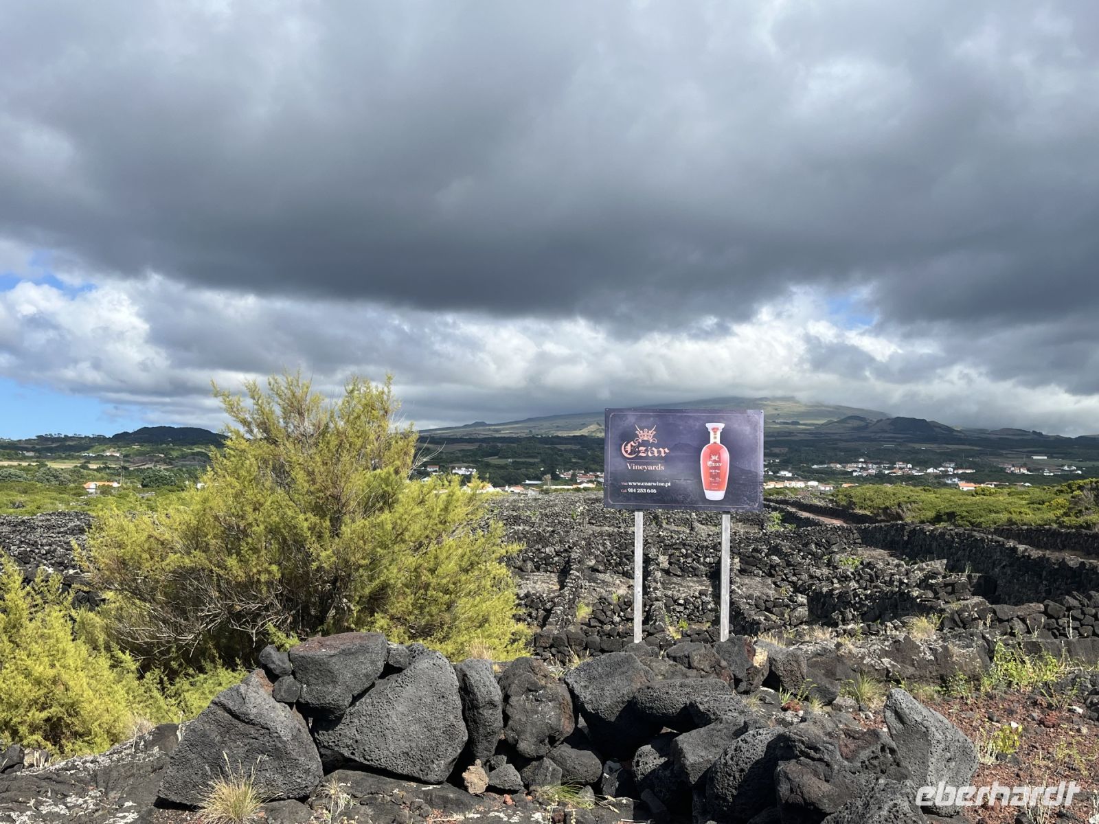 Weinanbau bei Madalena