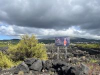 Weinanbau bei Madalena