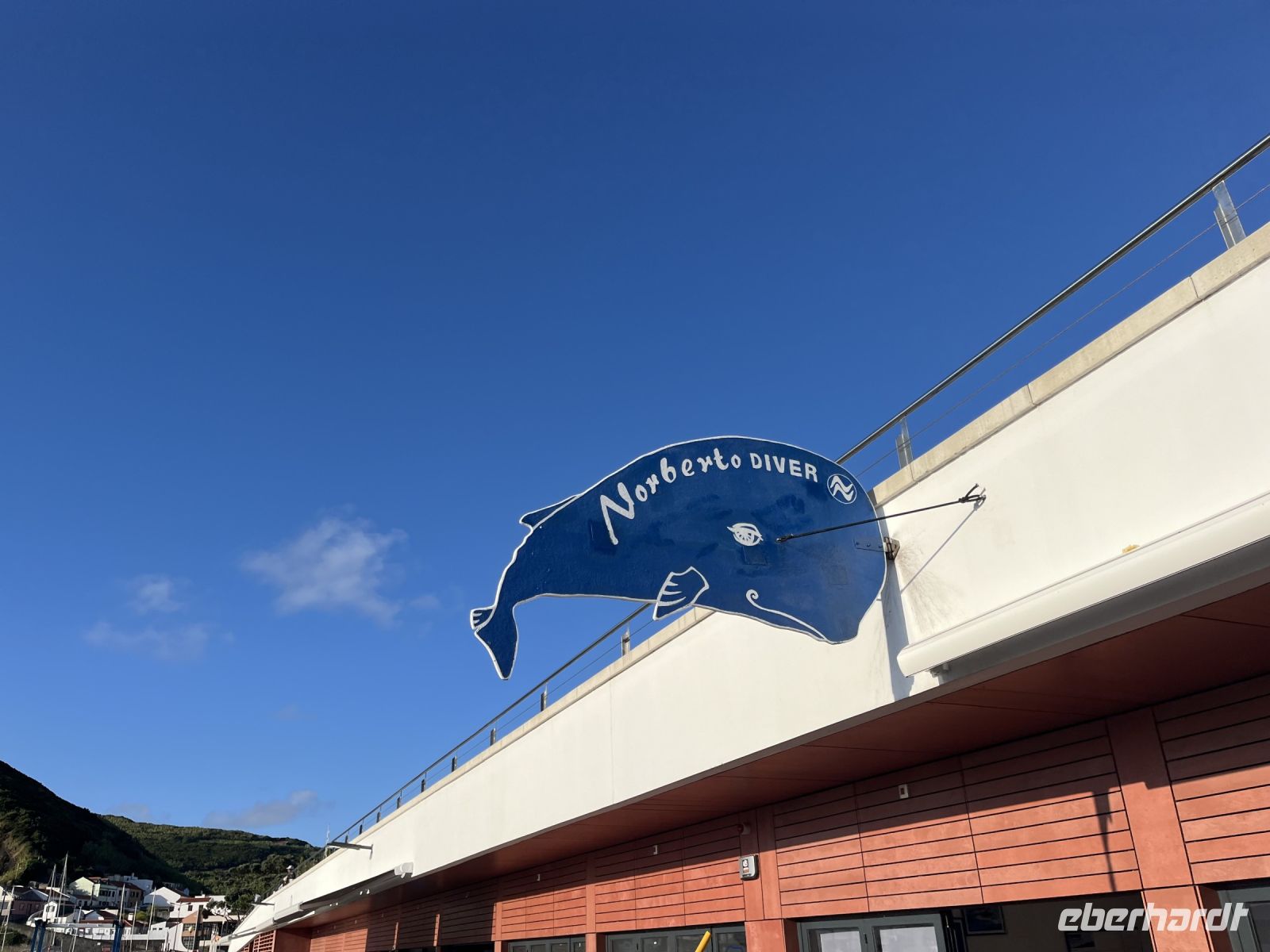 Whale Whatching Anbieter 