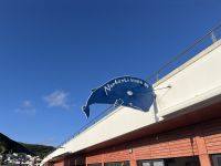 Whale Whatching Anbieter 