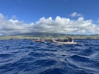 auf der Suche nach Walen