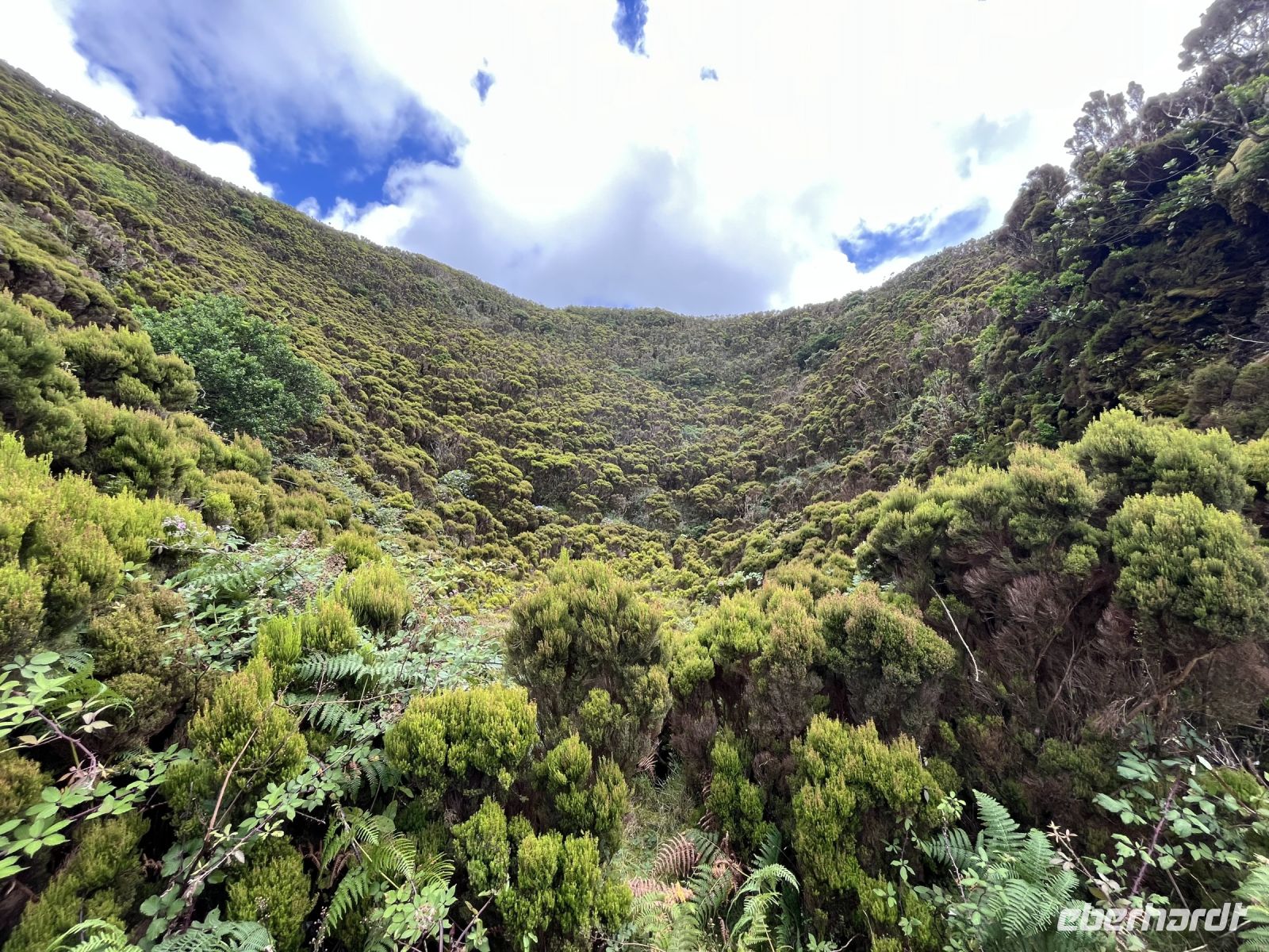 am Eingang der Algar do Carvao