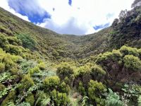 am Eingang der Algar do Carvao