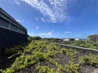 Weingut bei Biscoitos