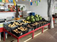 Obst und Gemüse Stand