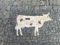 Kopfsteinpflaster Kunst